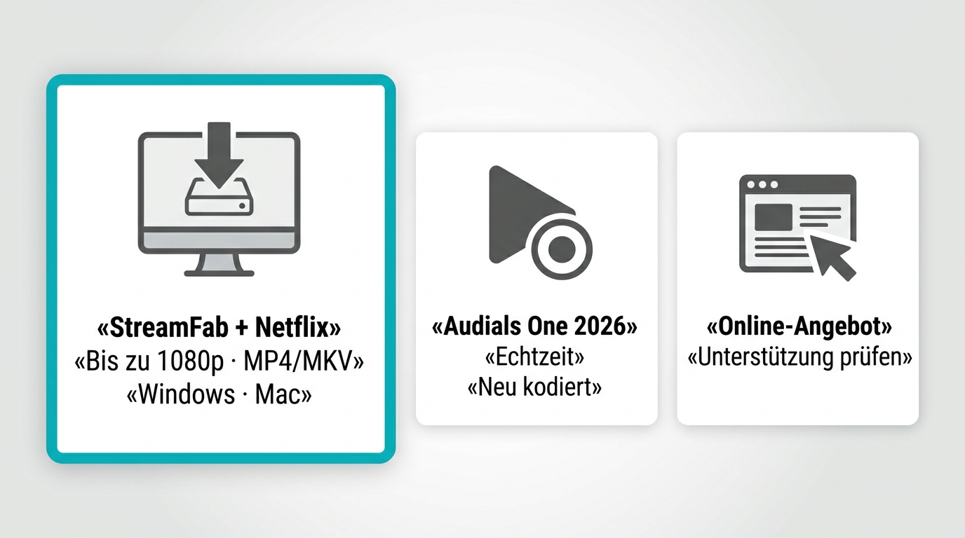 Vergleich von StreamFab-Download, Audials-Aufnahme und Online-Angeboten für Netflix MP4.