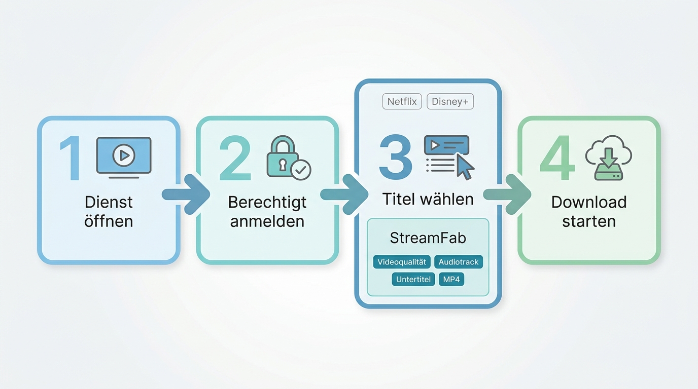 StreamFab von der Dienstauswahl bis zum lokalen Video-Download