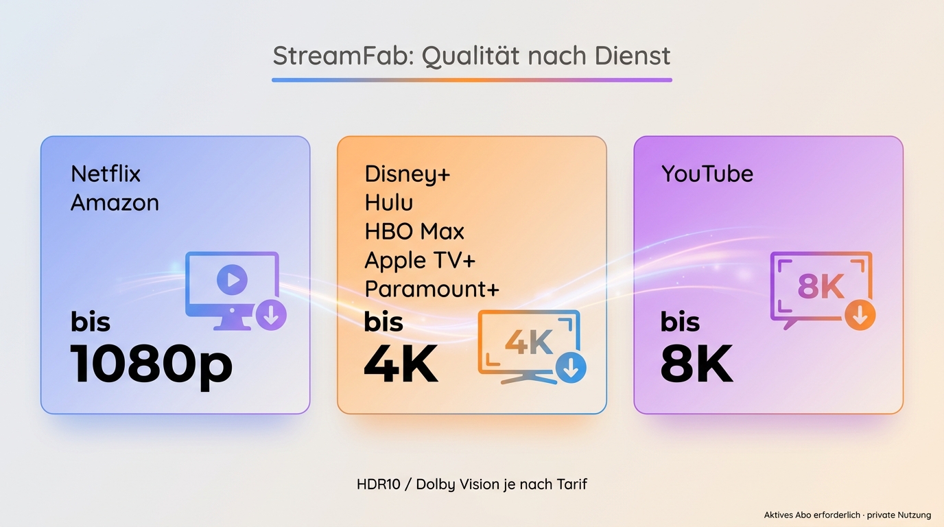 Videoqualität bei StreamFab Audials und PlayOn im Vergleich